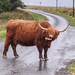 Meet your Posher, Elise